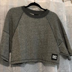 Ivy Park Top